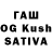 Галлюциногенные грибы Cubensis Xav Rouss