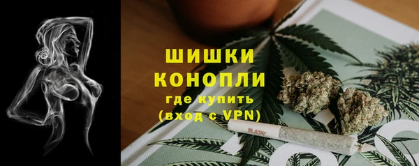 сатива Дмитров