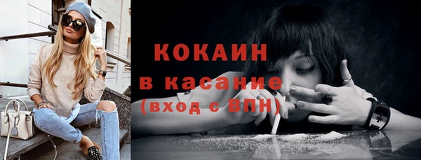 сатива Дмитров