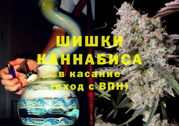 сатива Дмитров