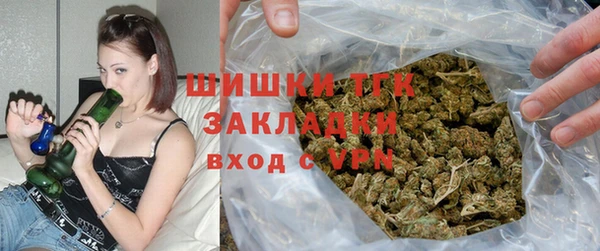 твердый Дмитриев
