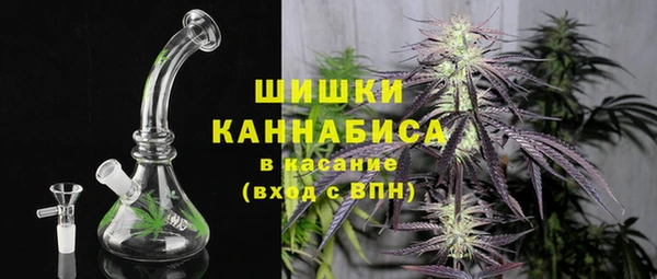 сатива Дмитров