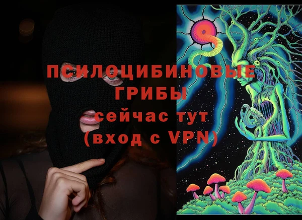 твердый Дмитриев